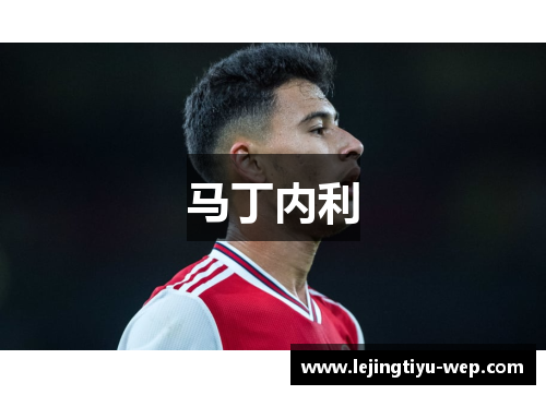 马丁内利